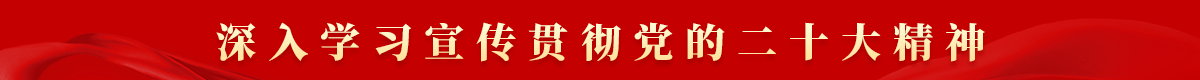 深入学习宣传贯彻党的二十大精神